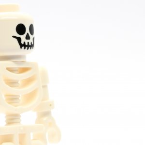 Skeleton with Standard Skull