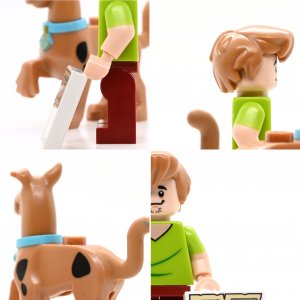 Shaggy Roggers & Scooby-Doo